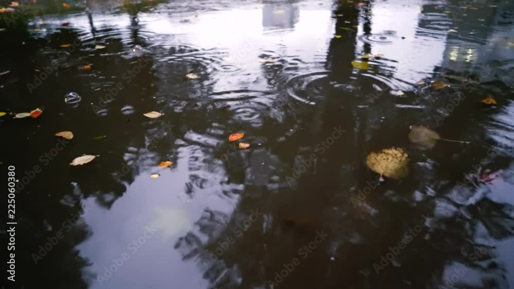 Autumn rain in bad weather, rain drops on the surface of the puddle with fallen leaves. Autumn rain in bad weather, rain drops on the surface of the puddle with fallen leaves.