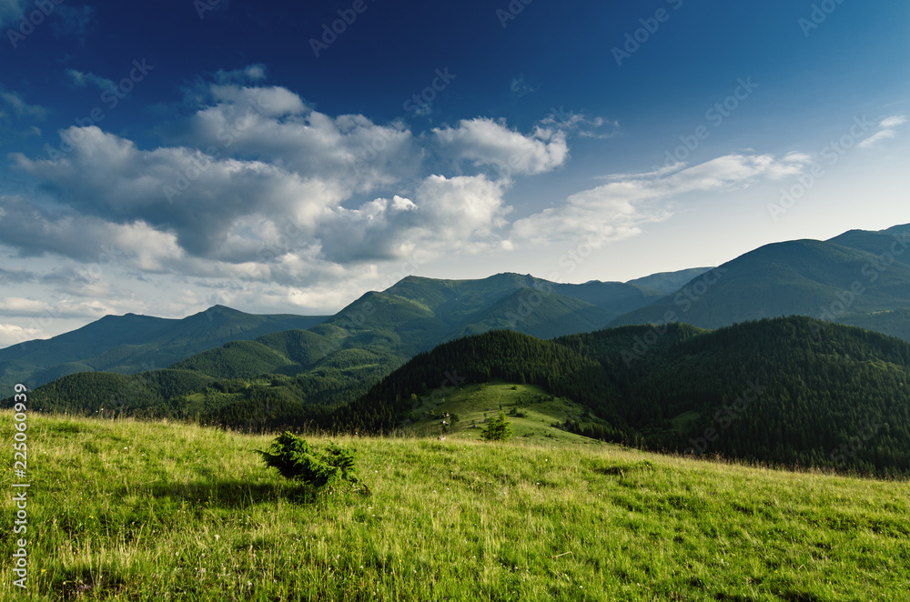 Carpathian mountains summer landscape with blue sky and clouds, natural outdoor background