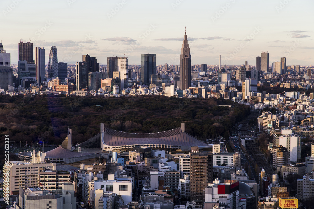 Looking Tokyo skyline