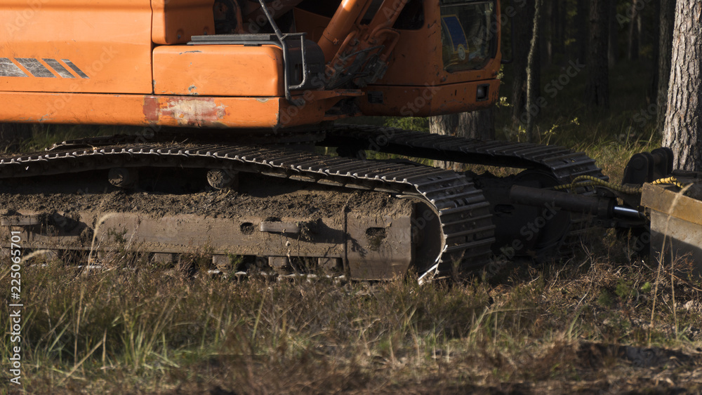 Machine on the logging site Machine on the logging site