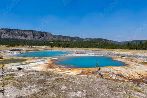 Several hot springs with bright blue water, Yellowstone National Park, USA