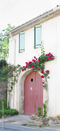 Rosier rouge sur portail © Marylène