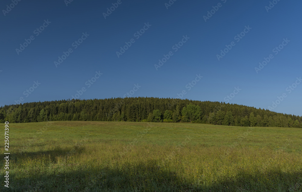 Forest and meadow over Kraslice town in summer very hot morning