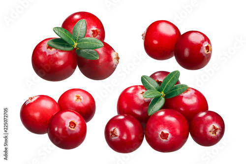 Cranberries v. oxycoccus piles, paths
