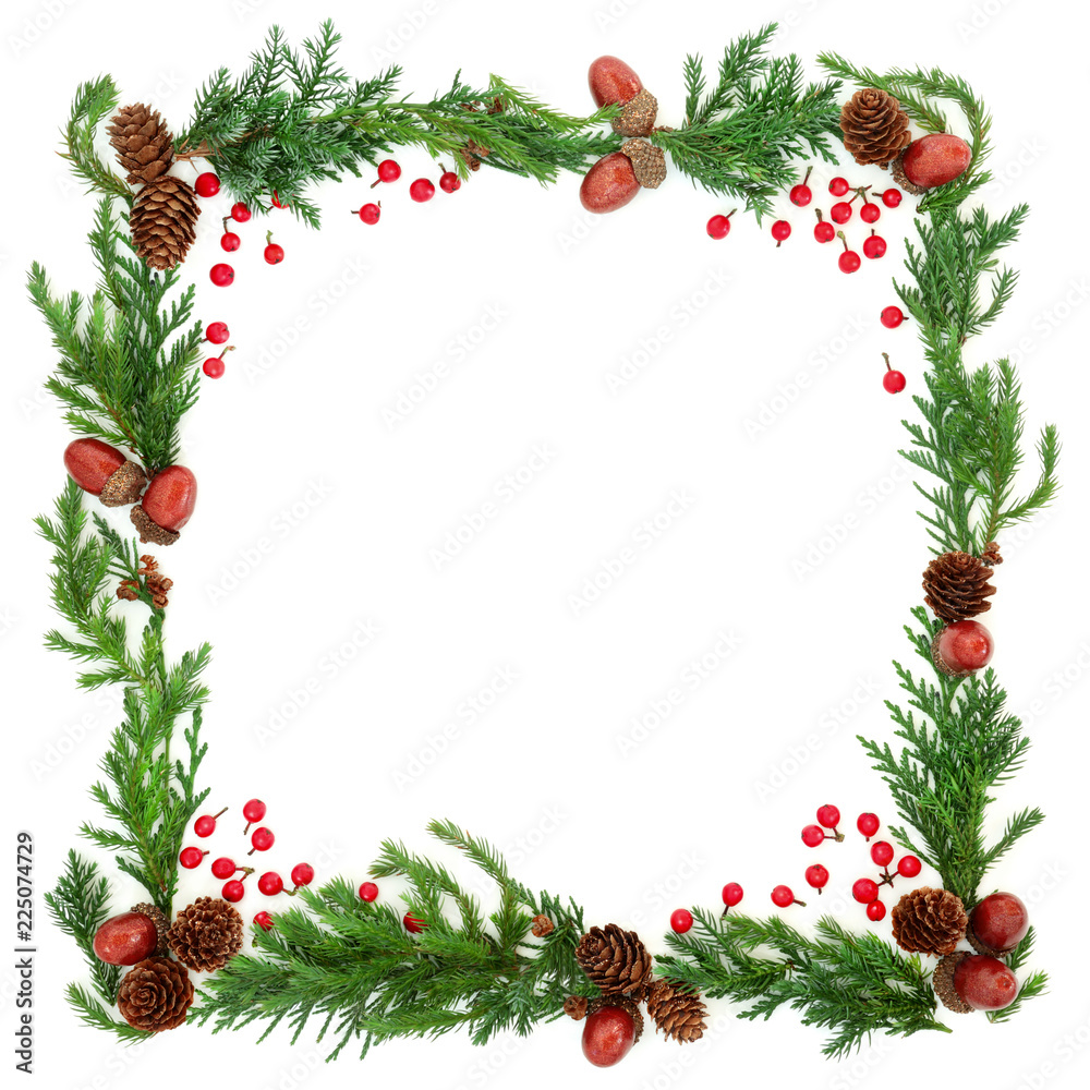 Abstract winter square border with cedar cypress, fir, holly berries, pine cones and acorns on white background. Abstract winter square border with cedar cypress, fir, holly berries, pine cones and acorns on white background.