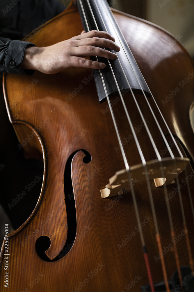 A person playing a double bass - obrazy, fototapety, plakaty 