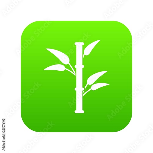 Bamboo icon digital green for any design isolated on white vector illustration
