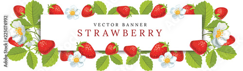 Vector strawberry horizontal banner with flowers. Vector