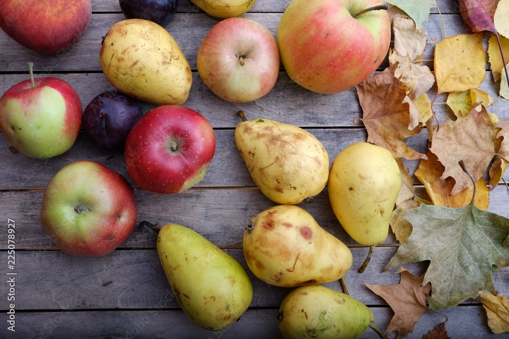 Various colorful fruits on autumn wooden table Various colorful fruits on autumn wooden table