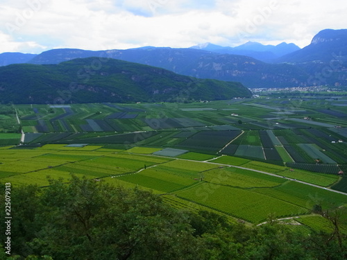 field in north Italy