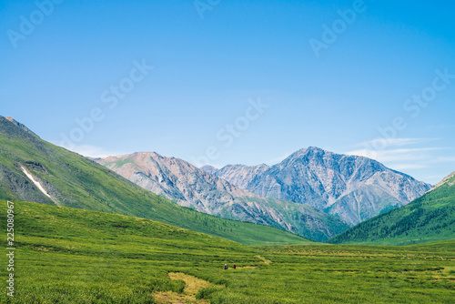 Tourists goes trail to giant mountains with snow in sunny day. Small tourists in green valley. Meadow with rich vegetation of highlands in sunlight. Amazing mountain landscape of majestic nature.