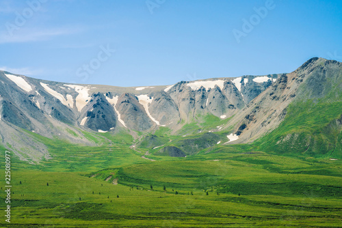 Giant mountains with snow above green valley in sunny day. Meadow with rich vegetation and trees of highlands in sunlight. Amazing mountain landscape of majestic nature.