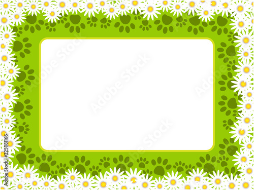 Summer chamomile frame with cat paw prints and empty space for your text.
