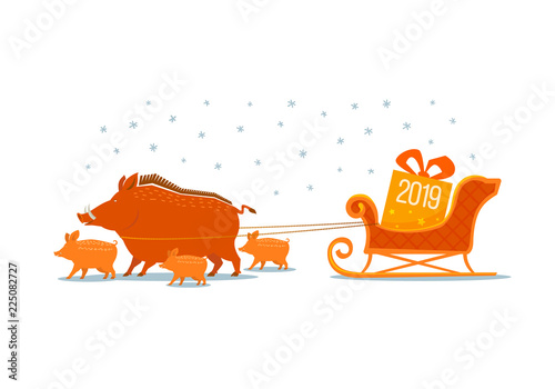 Color graphic drawing family of cheerful boars carrying Santa's New Year sleigh in which lies big gift with numbers 2019. Vector symbol, illustration, isolated on background.