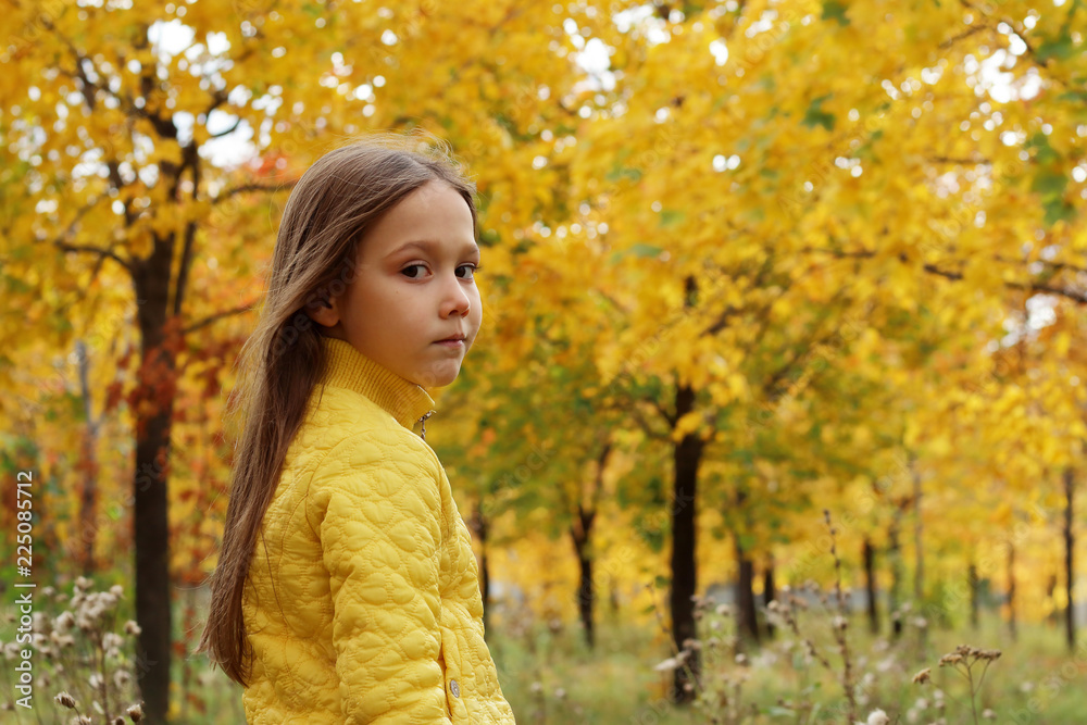 little girl model posing in autumn forest, child playing in Park little girl model posing in autumn forest, child playing in Park