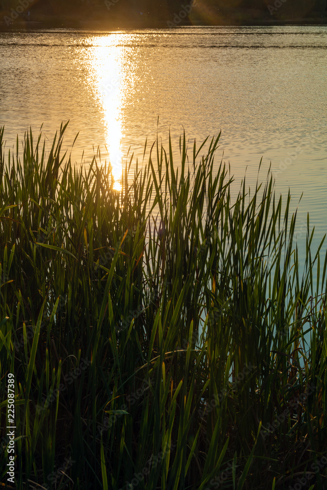 Obraz premium Orange sun reflecting on the surface of the fishing lake in summer