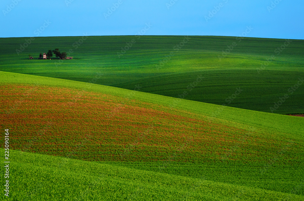 Rural landscape with green field, blue sky and wooden hunting shack , South Moravia, Czech Republic