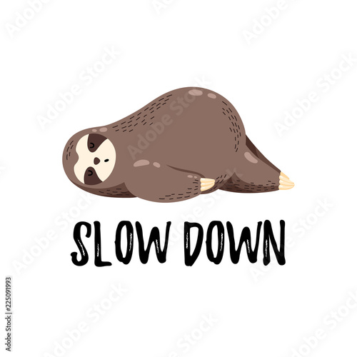 Cute vector illustration. Funny cartoon sloth lying