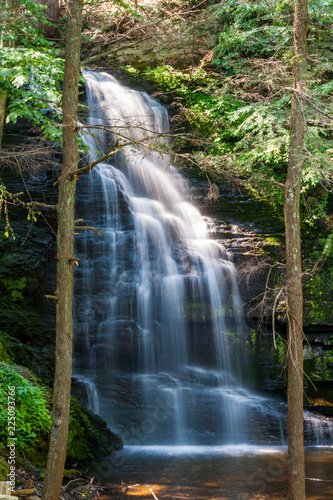 Waterfall in Lush Forest, Cascade Long Exposure