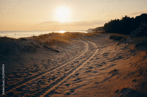 Outdoor summertime portrait of tyre tracks on sandy beach with pinkish sky  sea and trees in background. Deserted beach with four drive vehicle tire tracks. Nature  vacations  seaside and travel