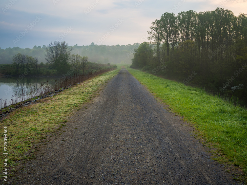 Foggy Gravel Road, Grass Lined Road in Forest Foggy Gravel Road, Grass Lined Road in Forest