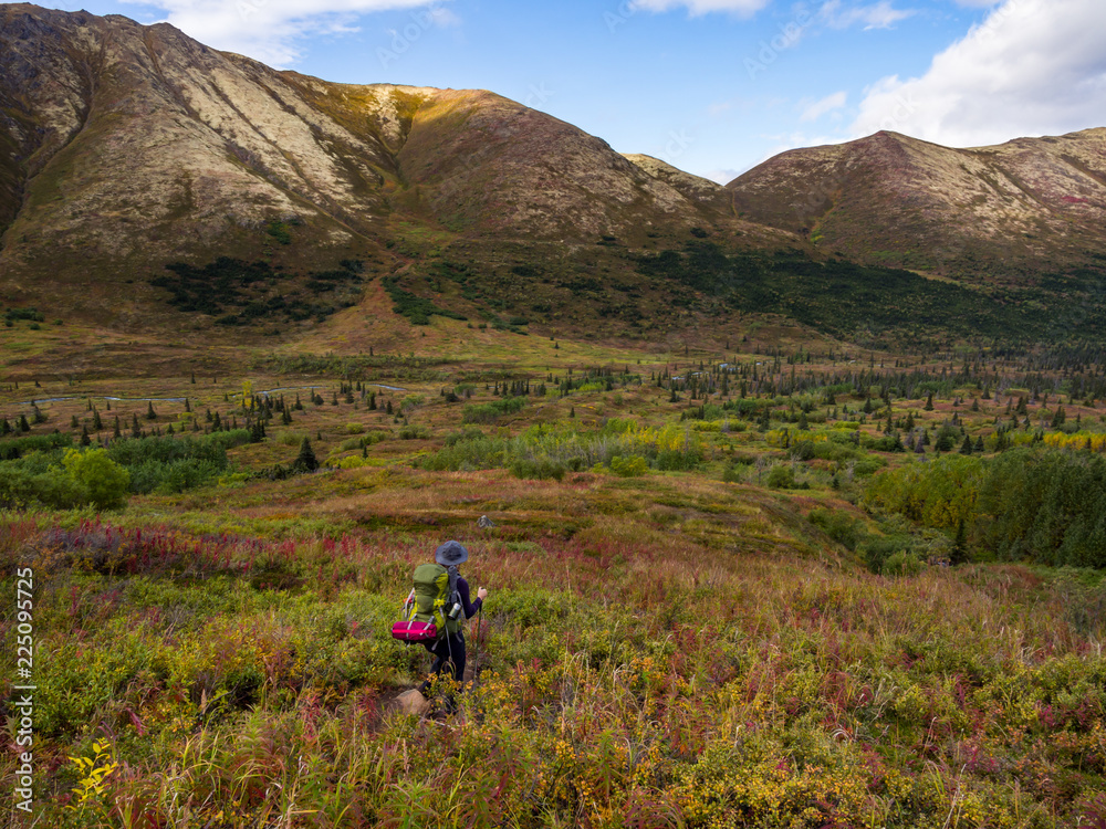 Backpacker in the Tundra, Mountains and Valley, Alaska in Autumn