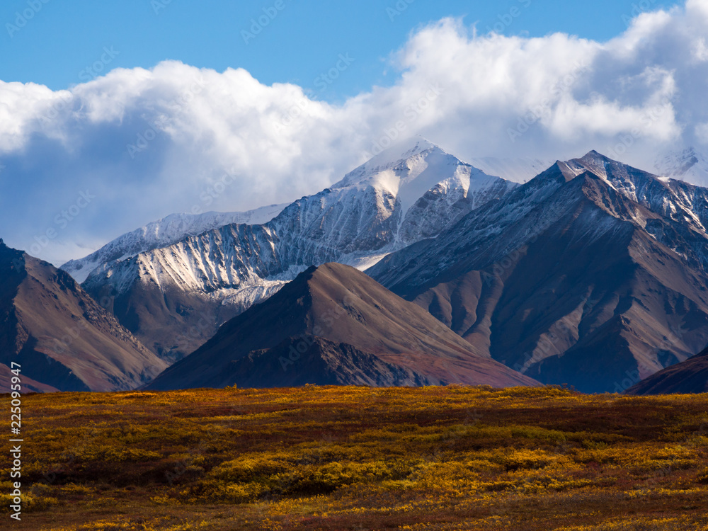 Obraz premium Snowcapped Peak Rising Above Autumn Tundra Landscape, Denali National Park, Alaska