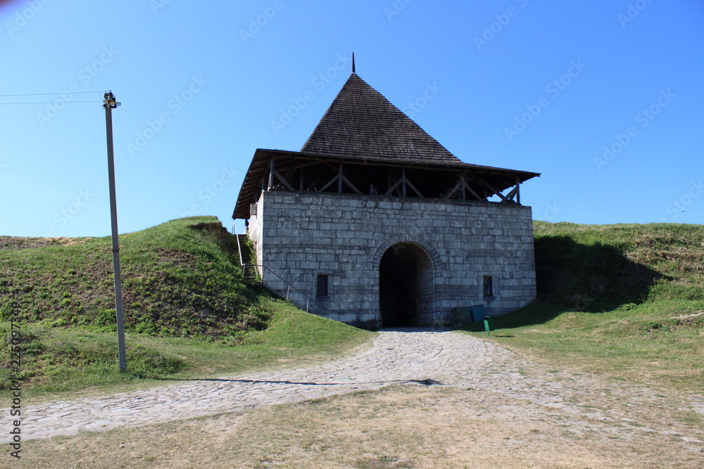 Fototapeta premium Hotyn сactle