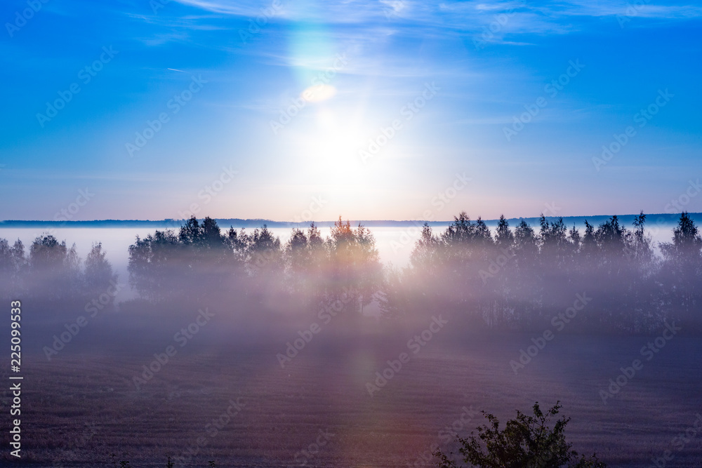 Landscape sunrise at summer. Foggy morning on meadow. Filtered image: cross processed effect. beautiful misty sunrise landscape. Landscape sunrise at summer. Foggy morning on meadow. Filtered image: cross processed effect. beautiful misty sunrise landscape.