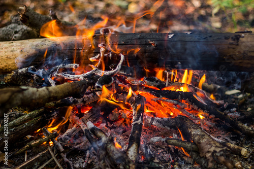 Campfire in the forest, close 