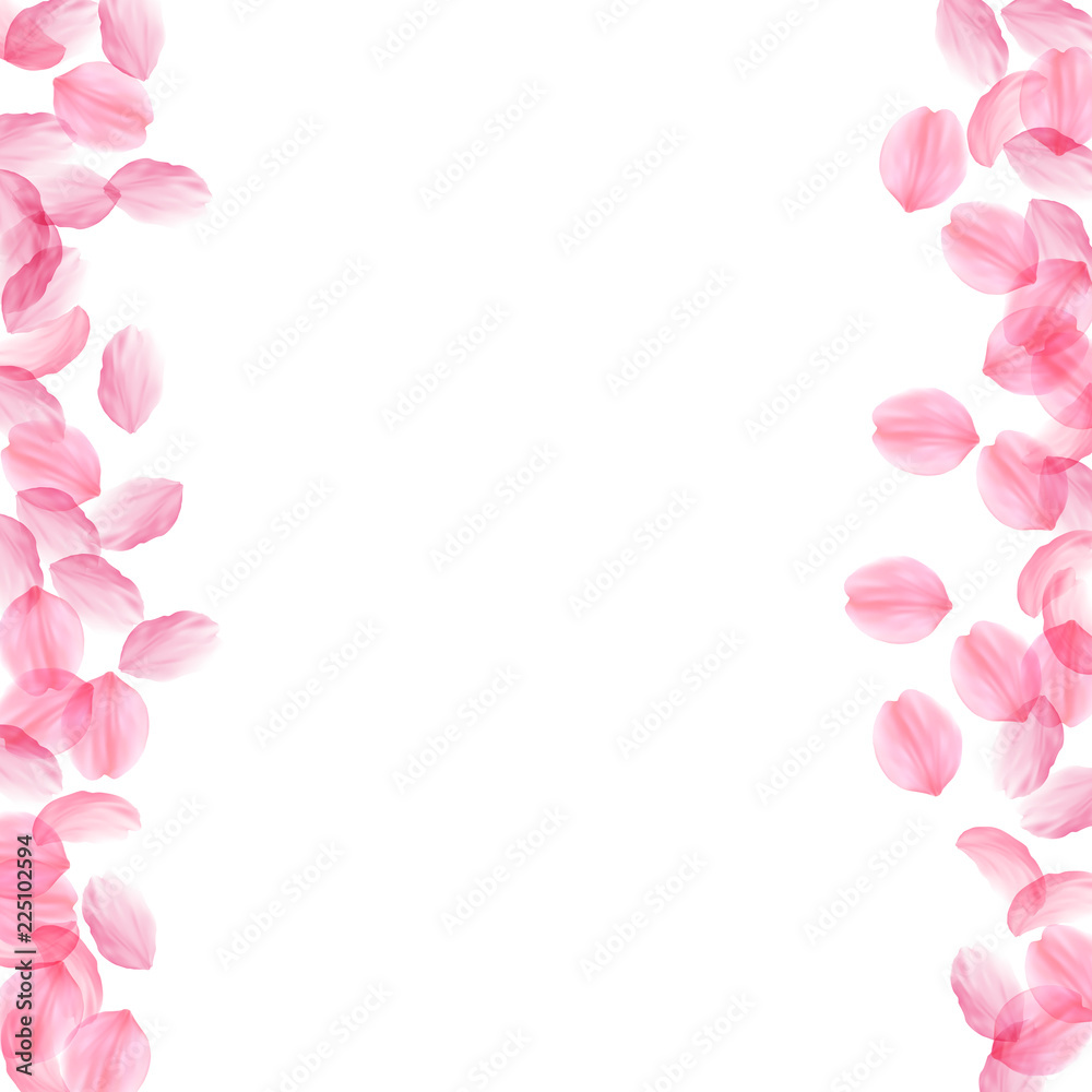 Sakura petals falling down. Romantic pink silky big flowers. Thick flying cherry petals. Messy borde