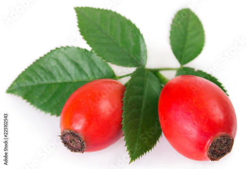 Fresh briar on white background