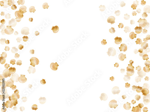 Gold seashells vector, golden pearl bivalved mollusks.