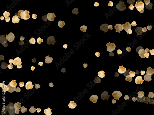 Gold seashells vector, golden pearl bivalved mollusks. 