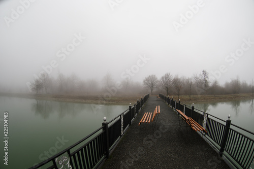 Empty bench at park near pond by foggy day, minimalistic cold season scene. bench at the lake in the fog in the forest. Bench near lake with fog. Azerbaijan Nature. © zef art