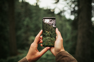 Perfect shot. Close up of mobile phone in arms of young lady isolated on blurred background. Woman taking picture of beautiful wood
