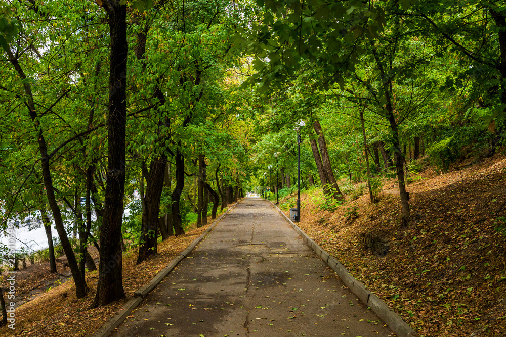 A asphalt alley in the green park