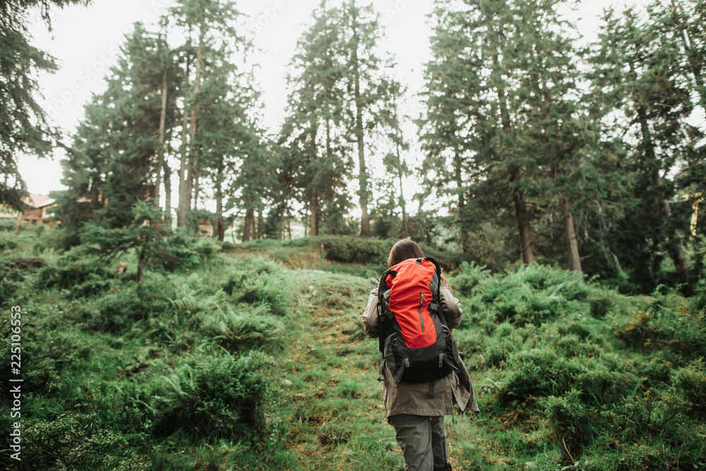 Heading to the camp. Back view of young lady travelling alone in coniferous wood