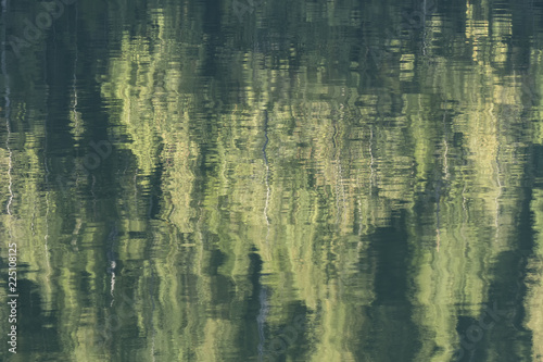 Forest reflections;  Inside Passage;  British Columbia;  Canada