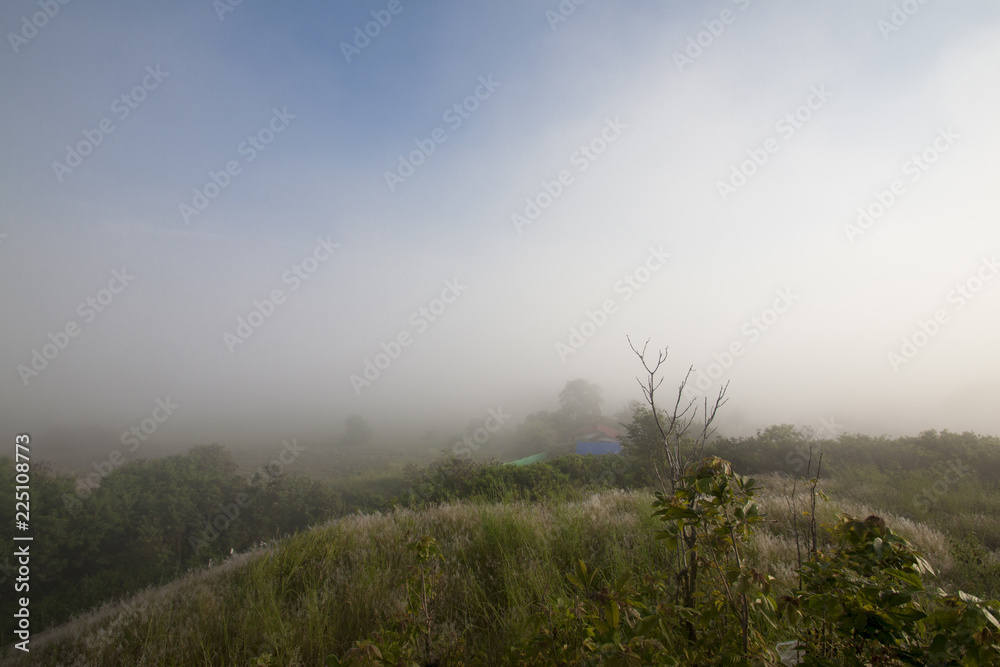 Landscape nature of meadows in the mountains with fog in the morning at Khao Phu Don Rayong Thailand. Landscape nature of meadows in the mountains with fog in the morning at Khao Phu Don Rayong Thailand.
