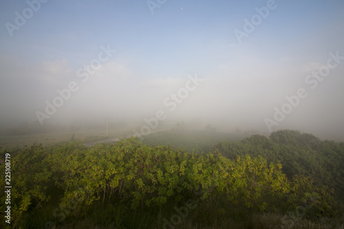 Landscape nature of meadows in the mountains with fog in the morning at Khao Phu Don Rayong Thailand.
