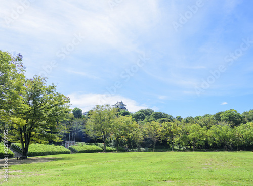 浜松城公園の中央芝生広場（静岡県浜松市中区） © Marimo