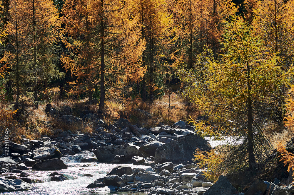 Beautiful alpine autumn landscape. Beautiful alpine autumn landscape.