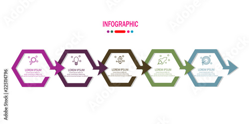timeline infographic with 5 options template vector