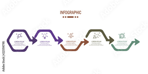 timeline infographic with 5 options template vector
