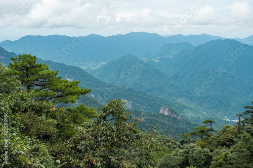forest covered valley floor covered in blue haze at mount sanqing