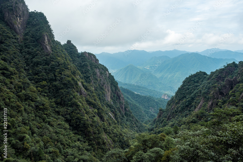 Obraz premium valley floor at mount sanqing covered in forest on a foggy day