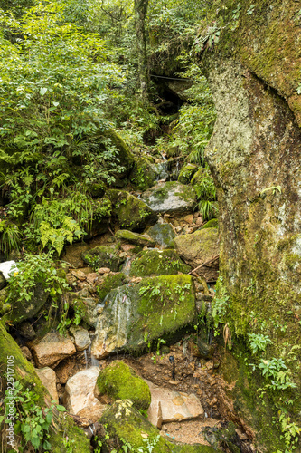 dried downhill creek covered in green mosses inside mount sanqing geo park
