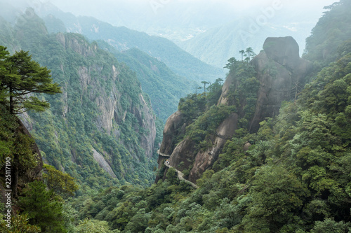 valley floor at mount sanqing covered in forest on a foggy day photo