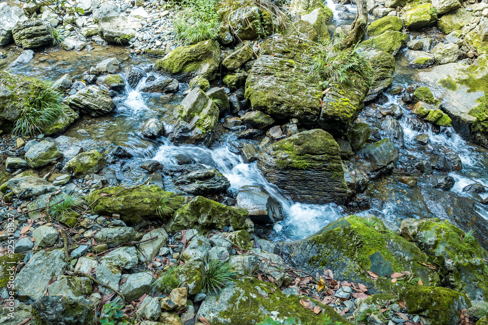water running through the rocky creek with rocks covered in green mosses